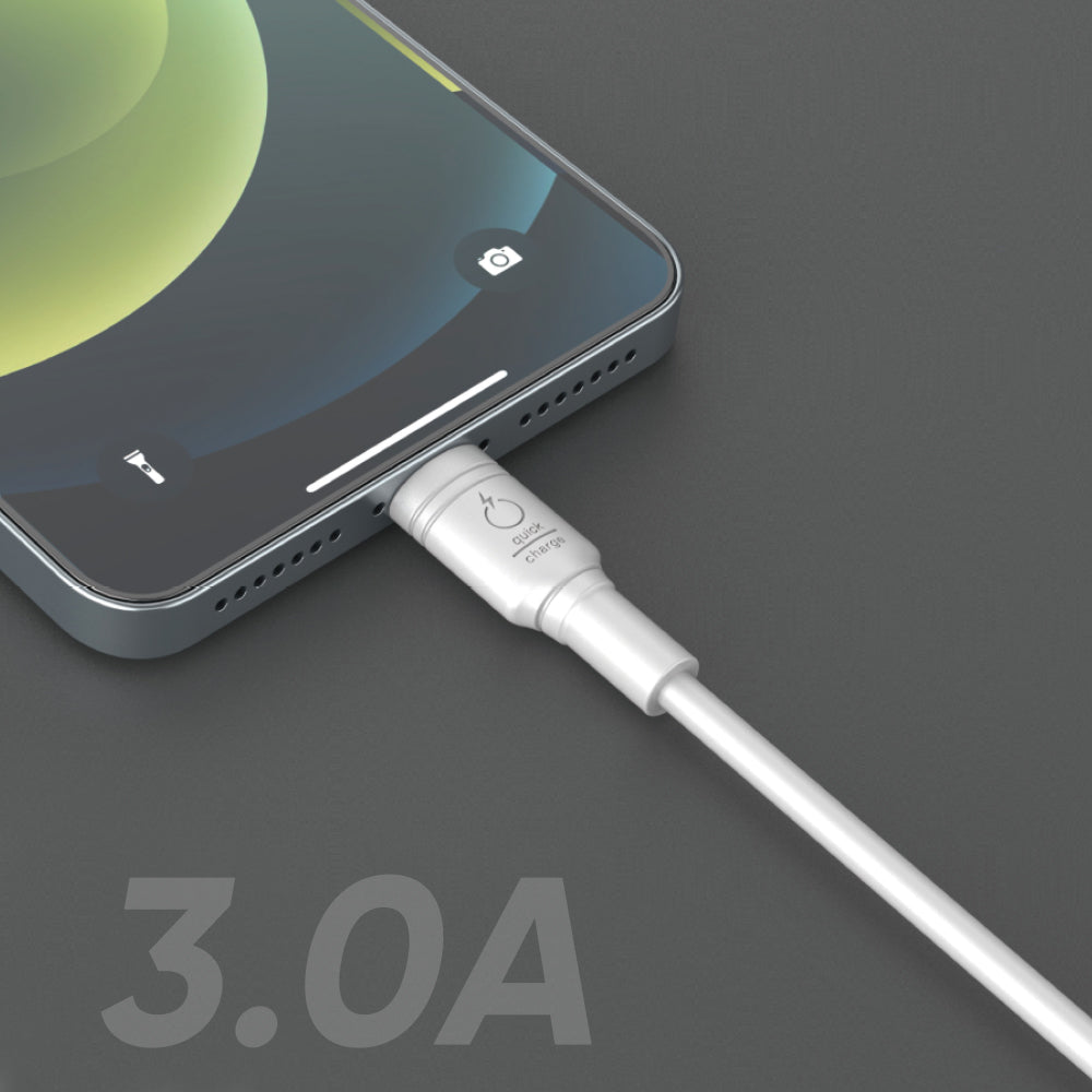 3A Fast Charging Type C to Lightning Heavy Duty Cable 1.5M / 5FT - White - fonemask.com
